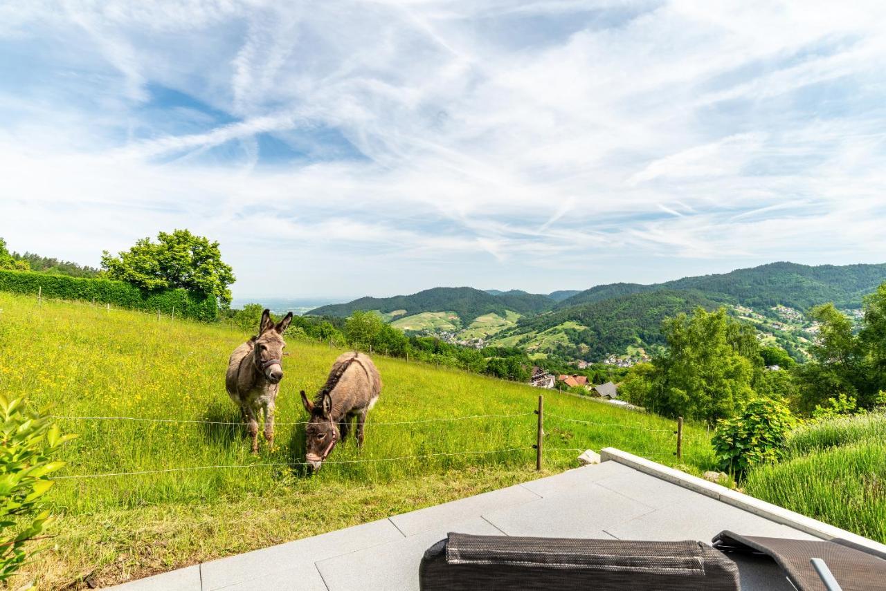 Merzel'S Schone Aussicht Bühlertal Exterior foto